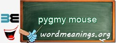 WordMeaning blackboard for pygmy mouse